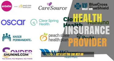 Understanding Health Insurance Providers: Your Guide to Coverage and Care