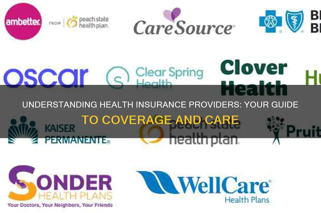 what are health insurance provider