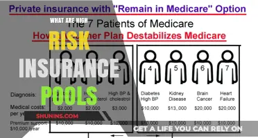Understanding High-Risk Insurance Pools: Who and What They Cover