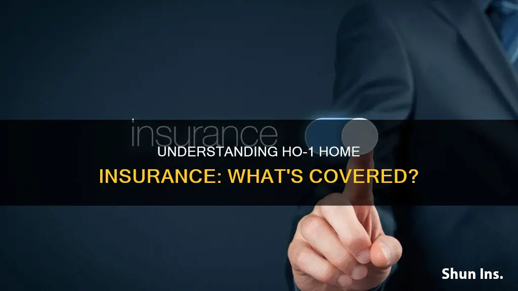 what are homeowners insurance ho1