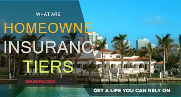 Understanding Home Insurance Tiers: Coverage Levels Explained