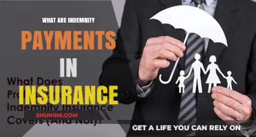 Understanding Indemnity Payments: Insurance Claims Explained