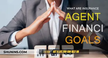 Financial Goals: Insurance Agent's Guide to Success