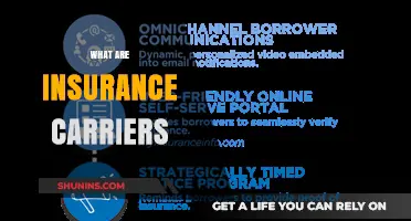 Understanding Insurance Carriers: Roles, Types, and How They Work