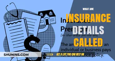 Understanding Insurance Details: Policy Declarations Explained