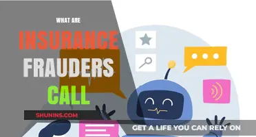 Insurance Fraudsters: What Are They Called?