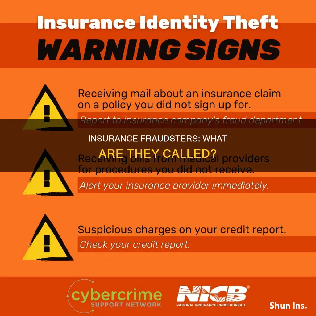 what are insurance frauders call