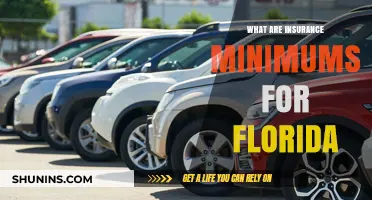Florida Insurance Minimums: What You Need to Know