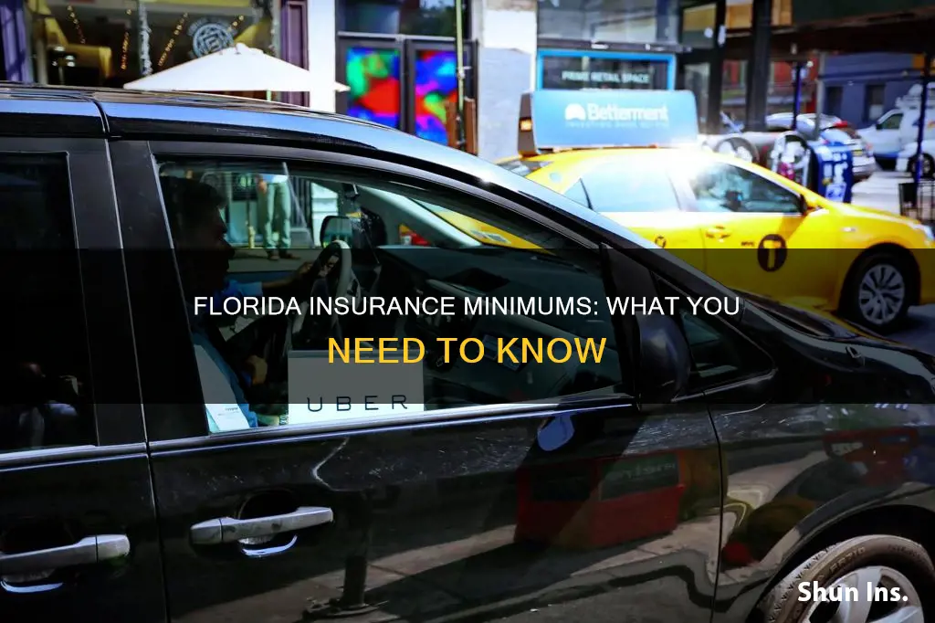 what are insurance minimums for florida