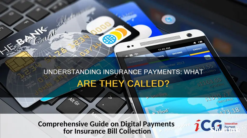 what are insurance payments called