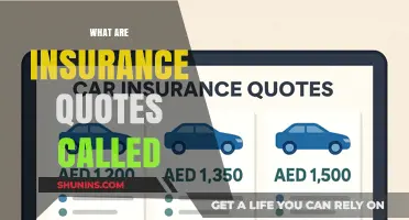 Understanding Insurance Quotes: What Are They and Why They Matter
