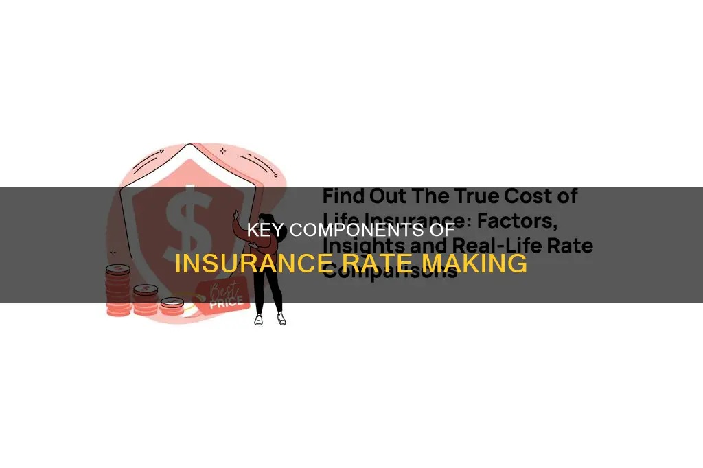 what are insurance rate making components