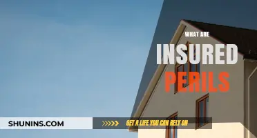 Understanding Insured Perils: What’s Covered in Your Insurance Policy?