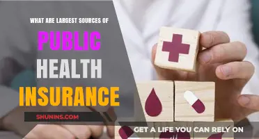 Exploring the Largest Sources of Public Health Insurance in America