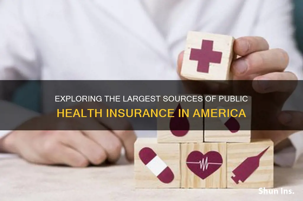 what are largest sources of public health insurance