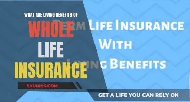 Whole Life Insurance: Living Benefits for Peace of Mind