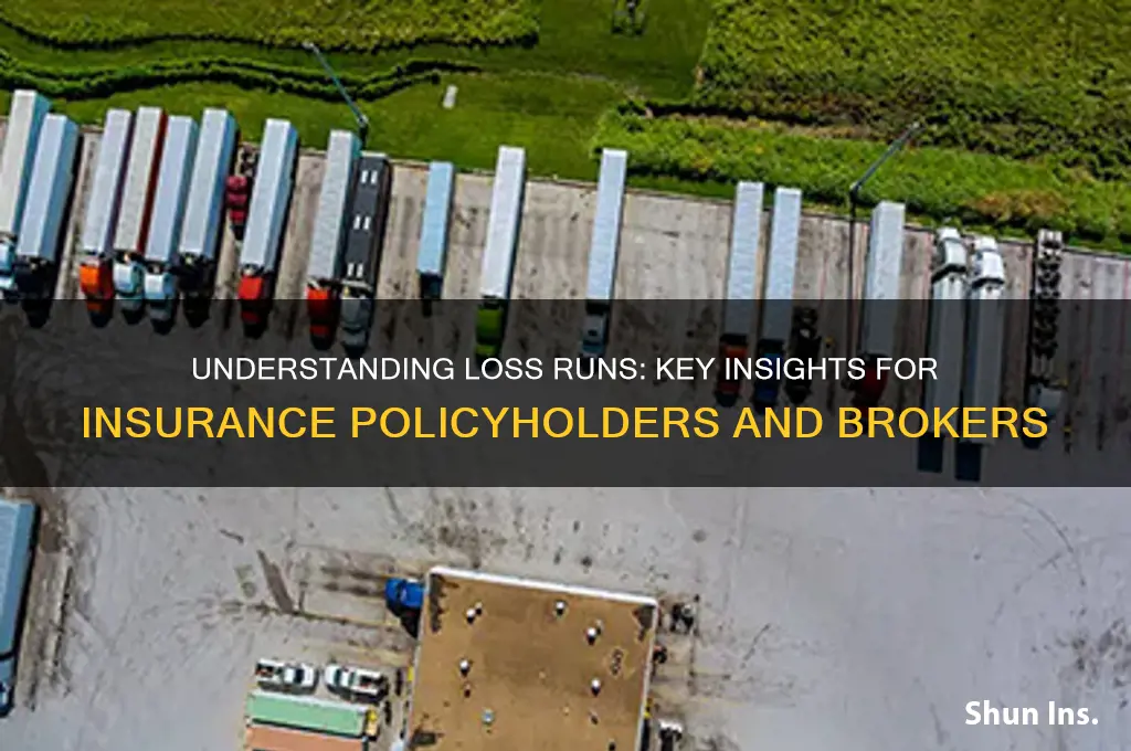 what are loss runs in insurance