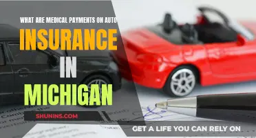 Understanding Michigan's Medical Auto Insurance Payments