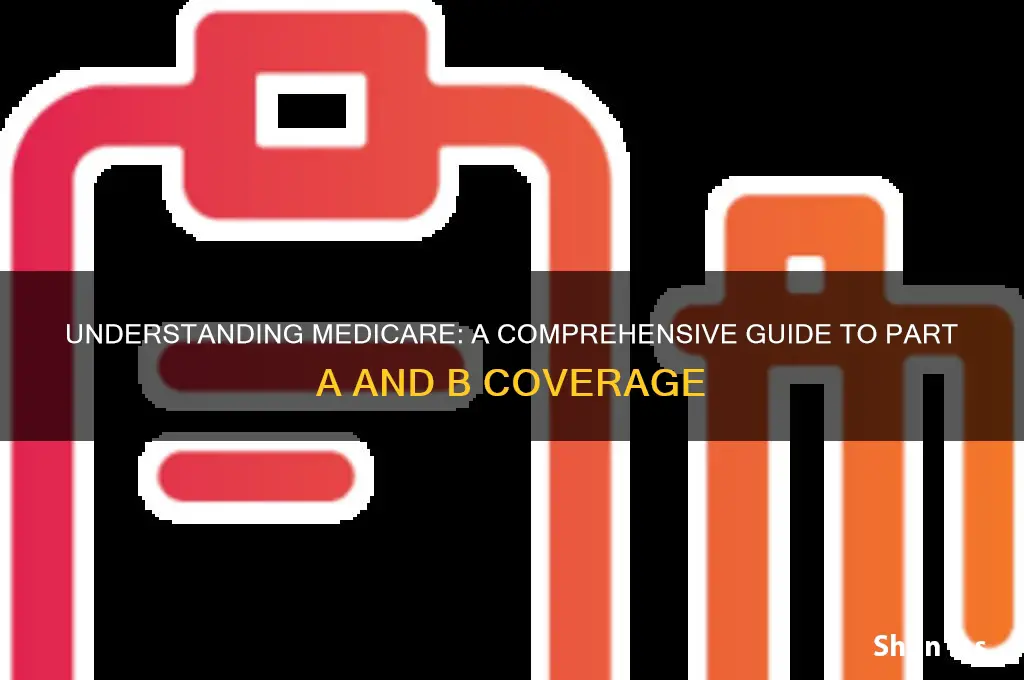 what are medicare health insurance part a and b