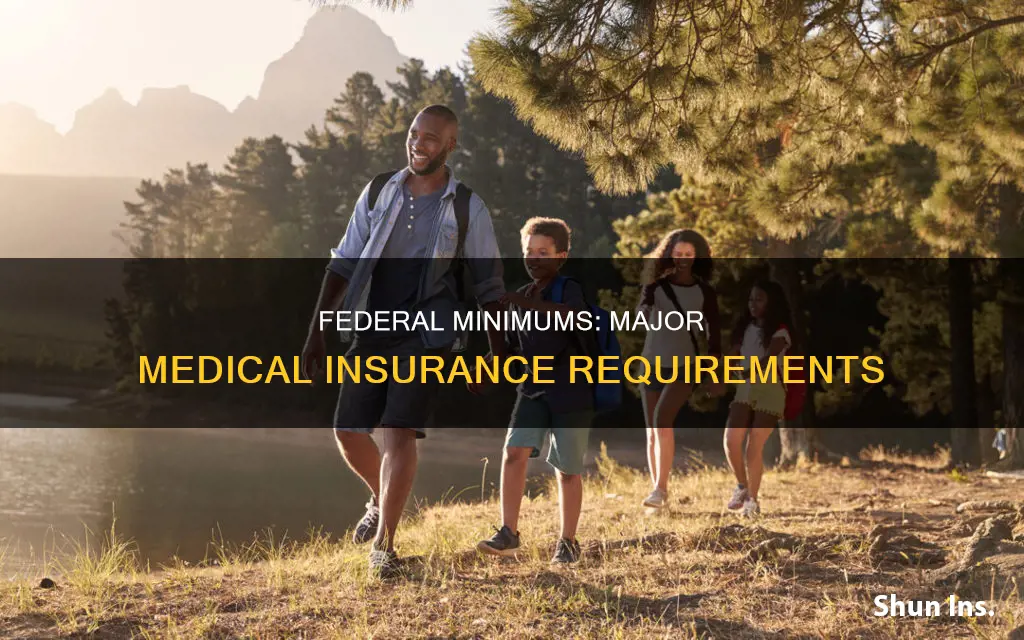 what are minimal federal requirements for major medical health insurance