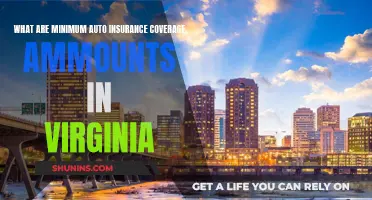 Auto Insurance in Virginia: Understanding Minimum Coverage Requirements