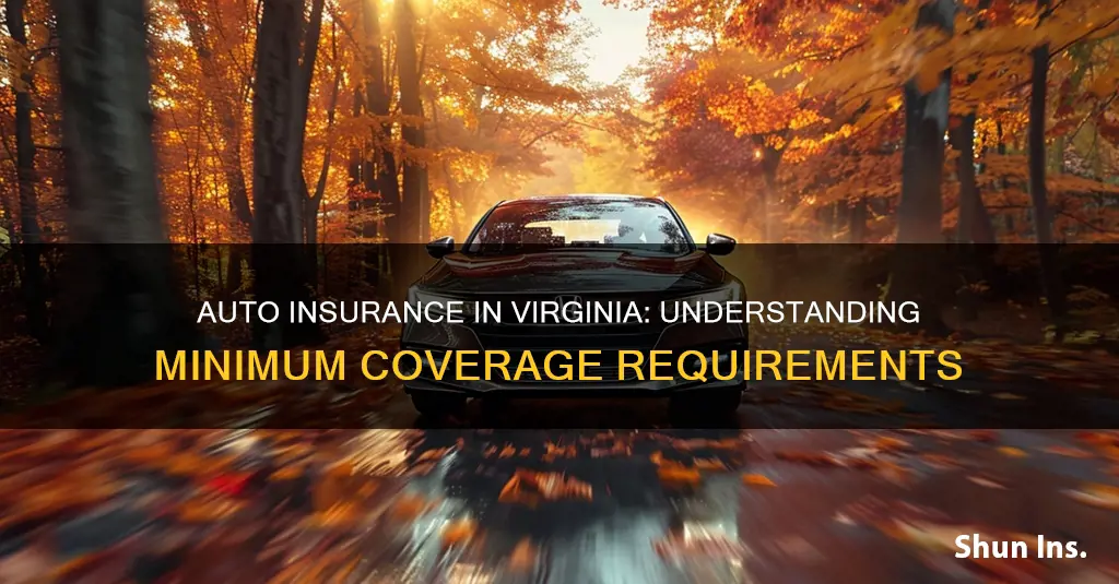 what are minimum auto insurance coverage ammounts in Virginia