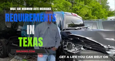 Texas Auto Insurance: Minimums Explained