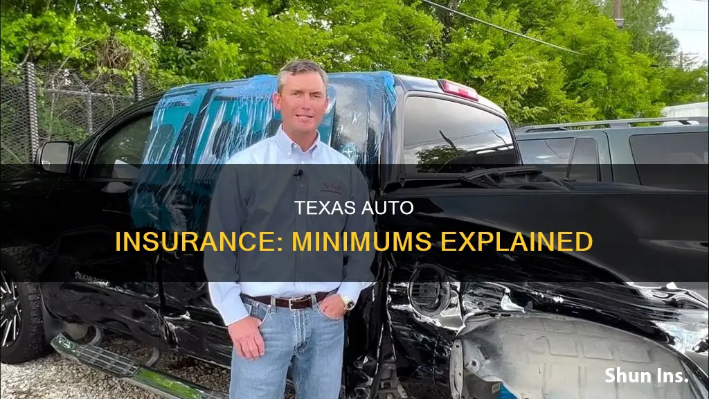 what are minimum auto insurance requirements in Texas