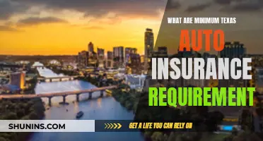 Texas Auto Insurance: Minimum Requirements You Need to Know