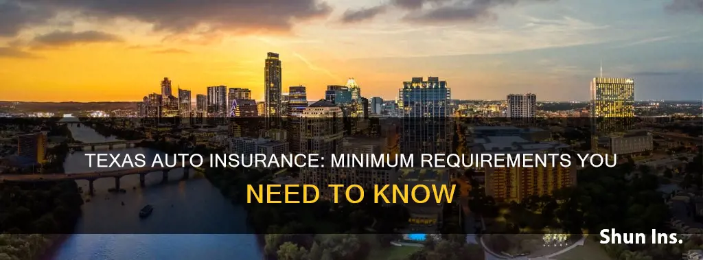 what are minimum texas auto insurance requirements