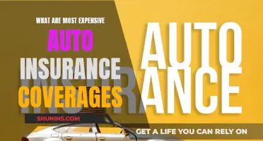 Costly Auto Insurance Coverage: What's Worth the Extra Expense?