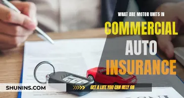 Understanding Motor Units: Commercial Auto Insurance Basics