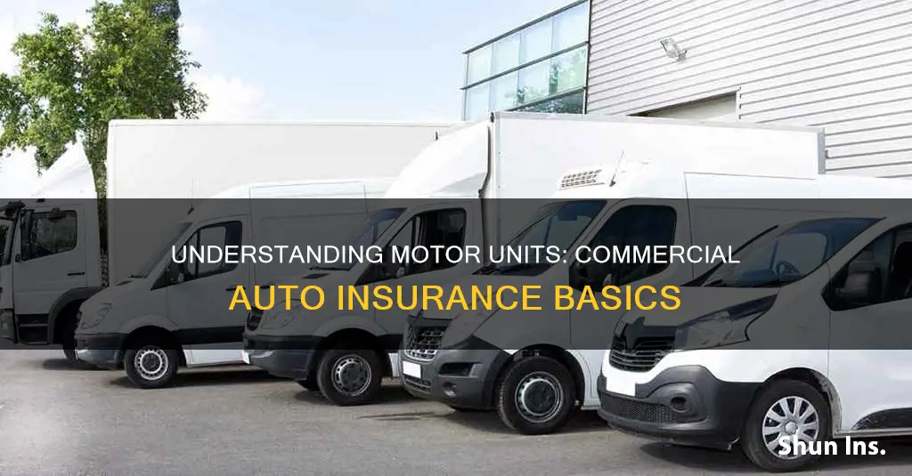 what are motor units in commercial auto insurance