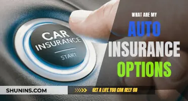 Auto Insurance Options: Understanding Your Coverage Choices