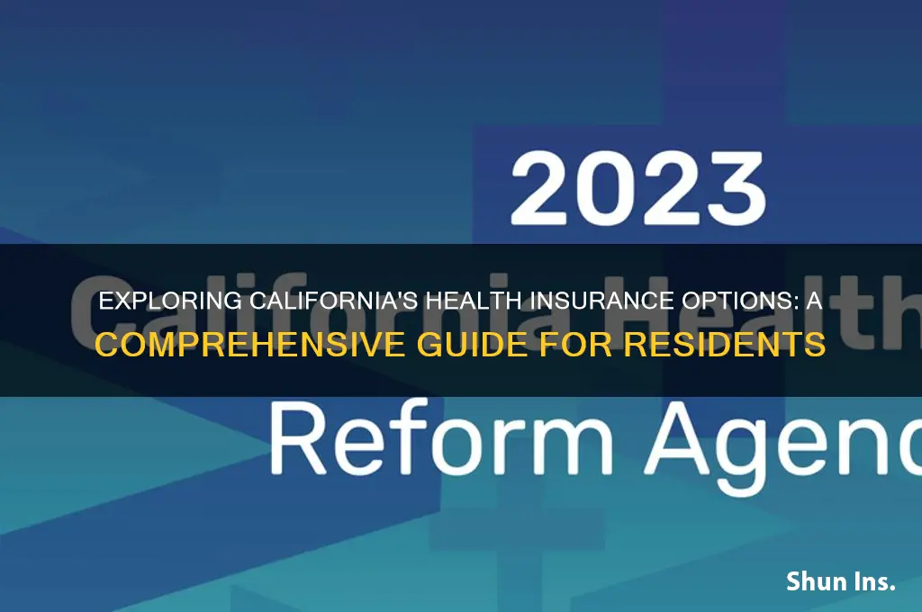 what are my health insurance options in california