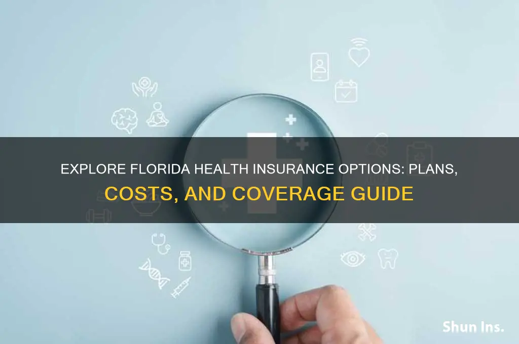 what are my health insurance options in florida