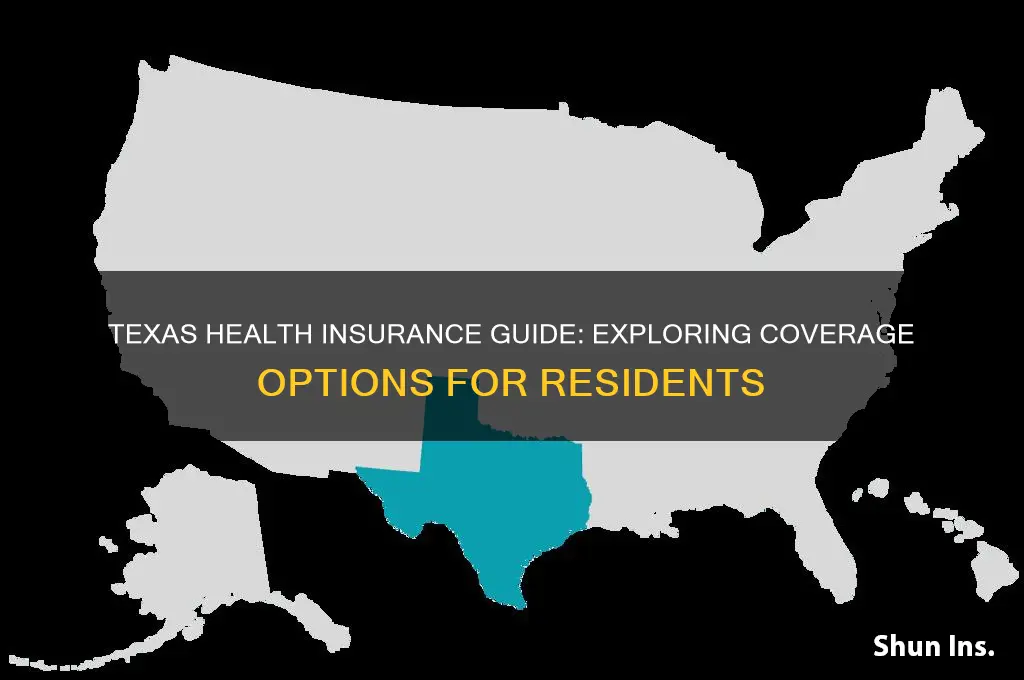 what are my health insurance options in texas