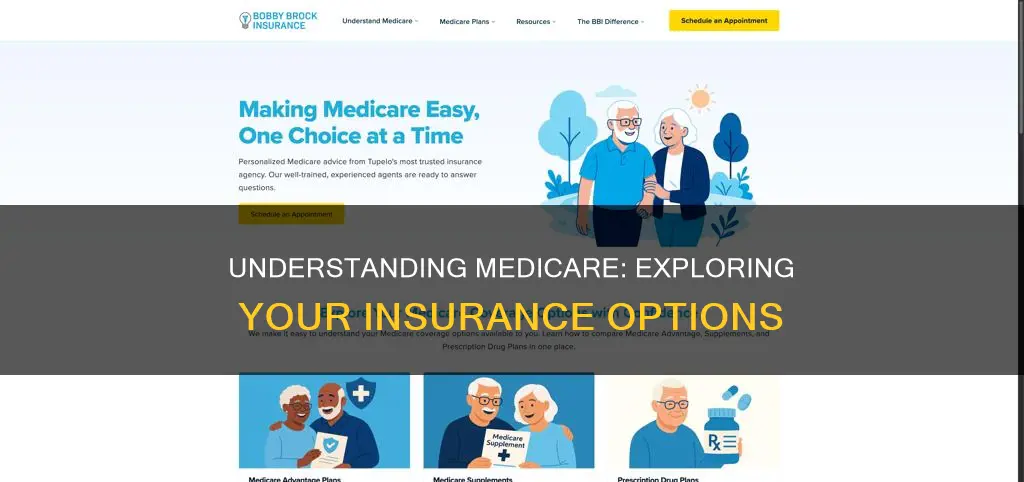 what are my options if my insurance is medicare