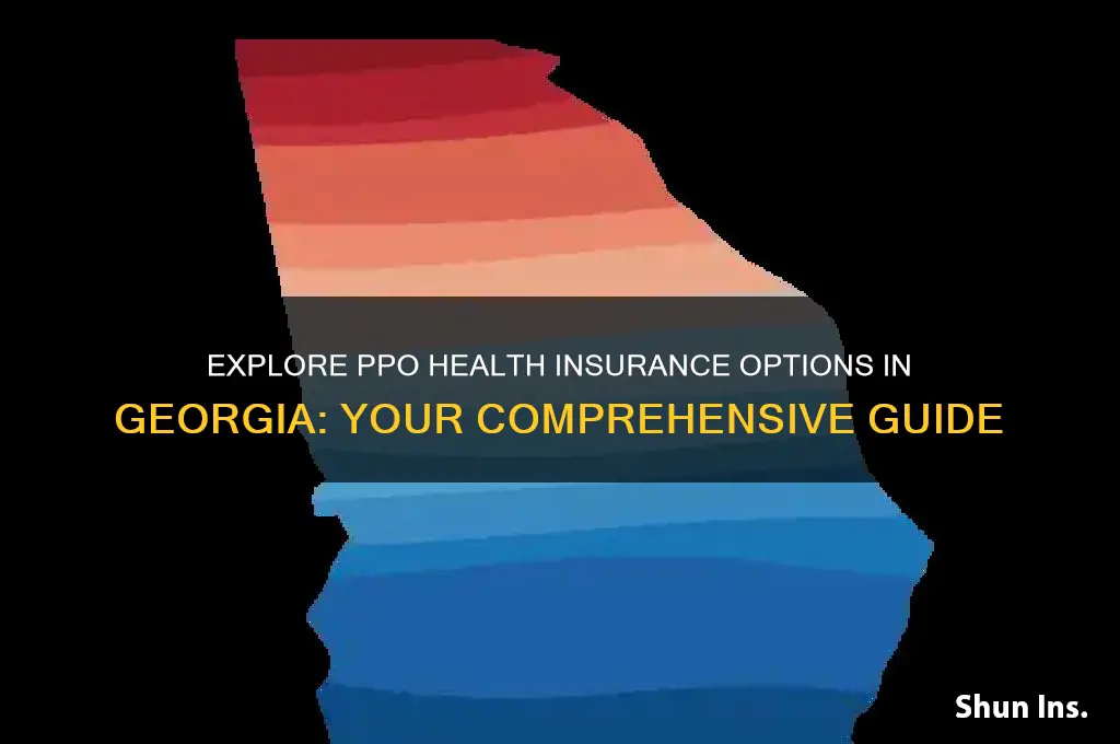 what are my ppo health insurance options in ga