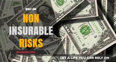 Understanding Non-insurable Risks: What's Not Covered?