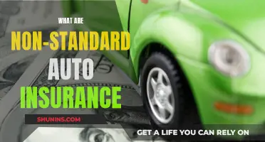 Understanding Non-Standard Auto Insurance: What You Need to Know