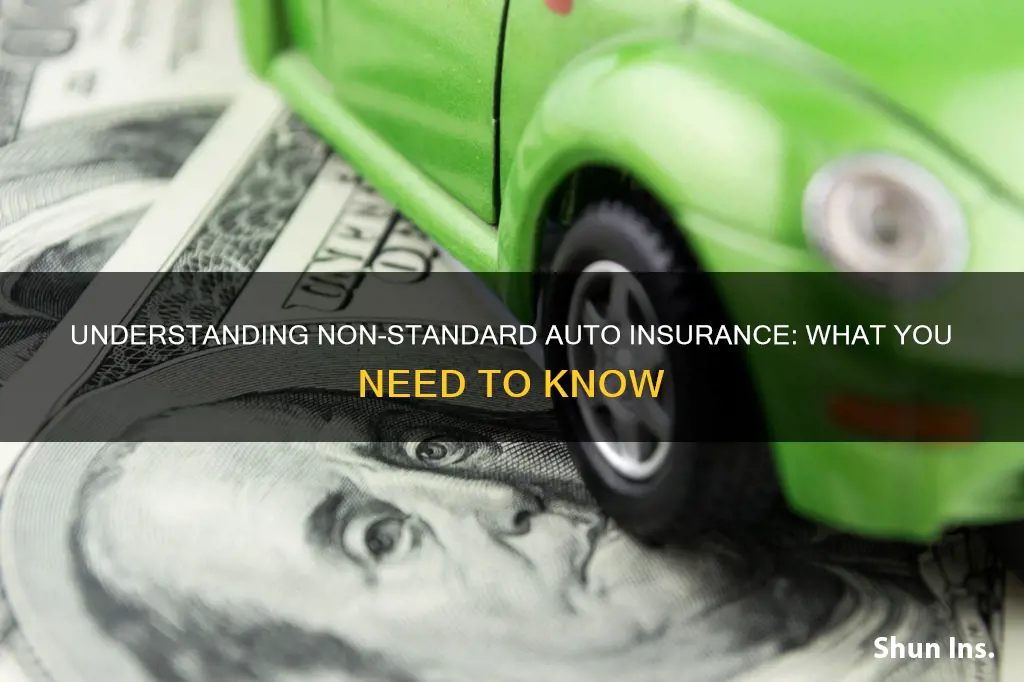 what are non-standard auto insurance