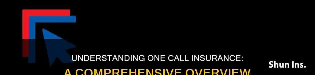 what are one call insurance like