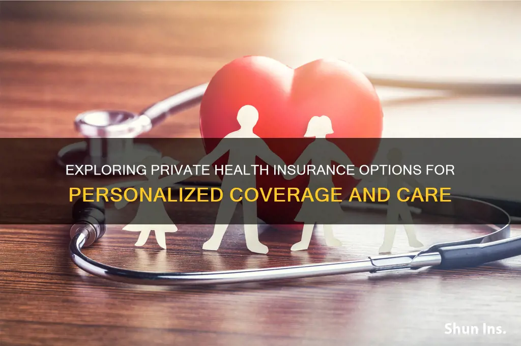 what are options for private health insurance