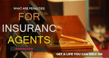 Insurance Agents: Penalties and Their Impact