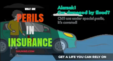 Understanding Perils in Insurance: Risks, Coverage, and Protection Explained