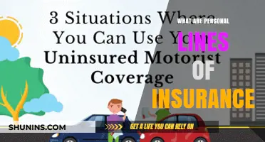 Understanding Personal Lines of Insurance: Coverage for Your Life and Assets