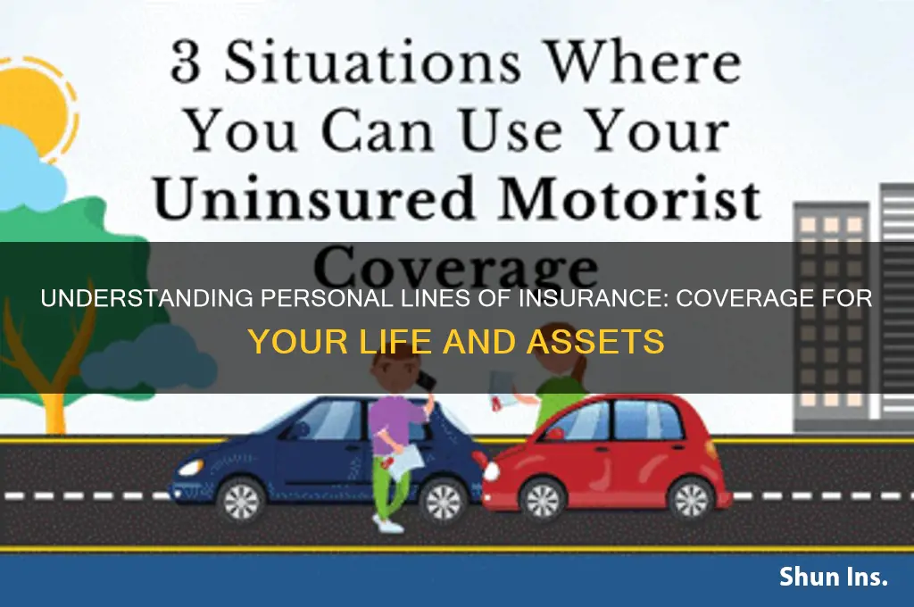 what are personal lines of insurance