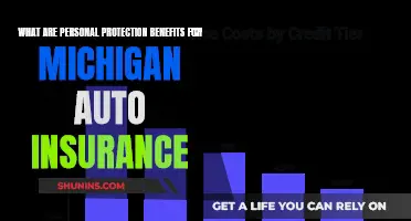 Personal Protection Benefits: Michigan Auto Insurance Explained