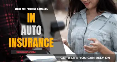 Understanding Punitive Damages in Auto Insurance Claims